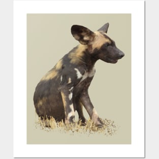 Wilddog in Kenya / Africa Posters and Art